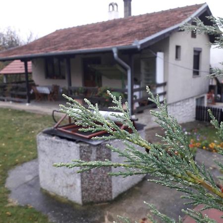 Galerija Jovanovic Topola Zewnętrze zdjęcie